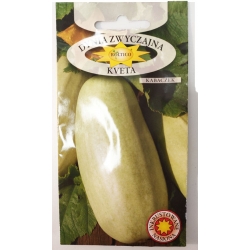 Dynia zwyczajna Kveta kabaczek roltx2